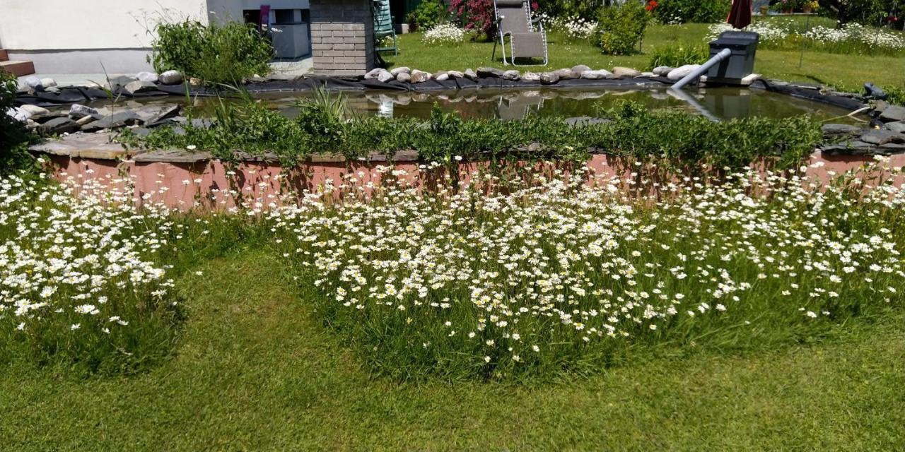 フェルデン・アム・ヴェルターゼーHaus Kikoアパートメント エクステリア 写真